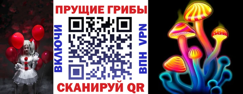 Псилоцибиновые грибы MAGIC MUSHROOMS  shop формула  Кондопога  что такое  