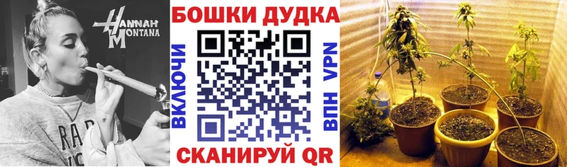 купить наркотик  МЕГА ссылка  Бошки марихуана ГИДРОПОН  Кондопога 